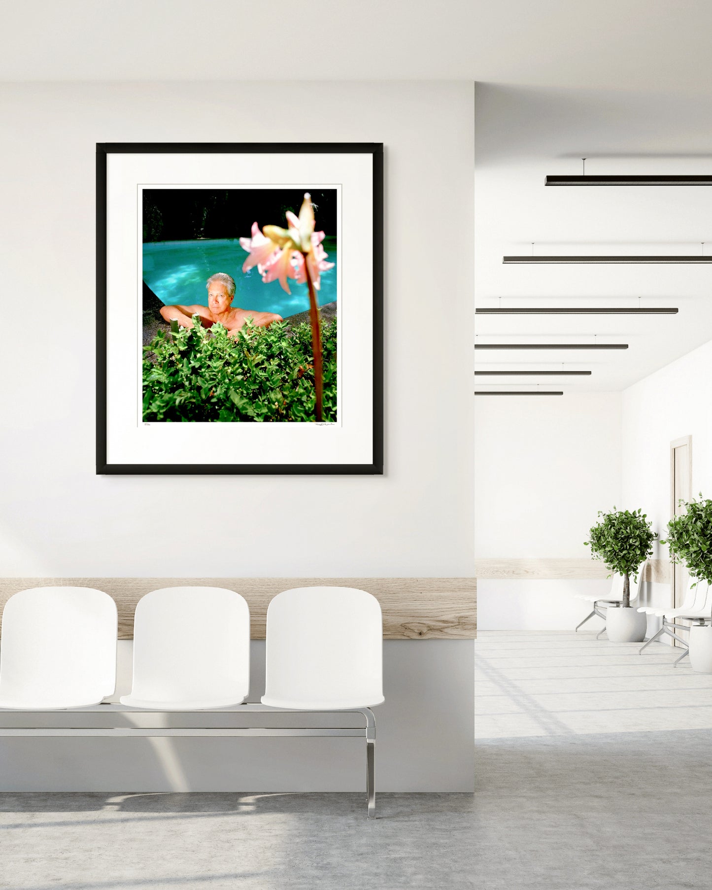 Framed Collector Edition photographic portrait of Don Dunstan by Robin Sellick, styled in a modern commercial interior with white walls and plants.