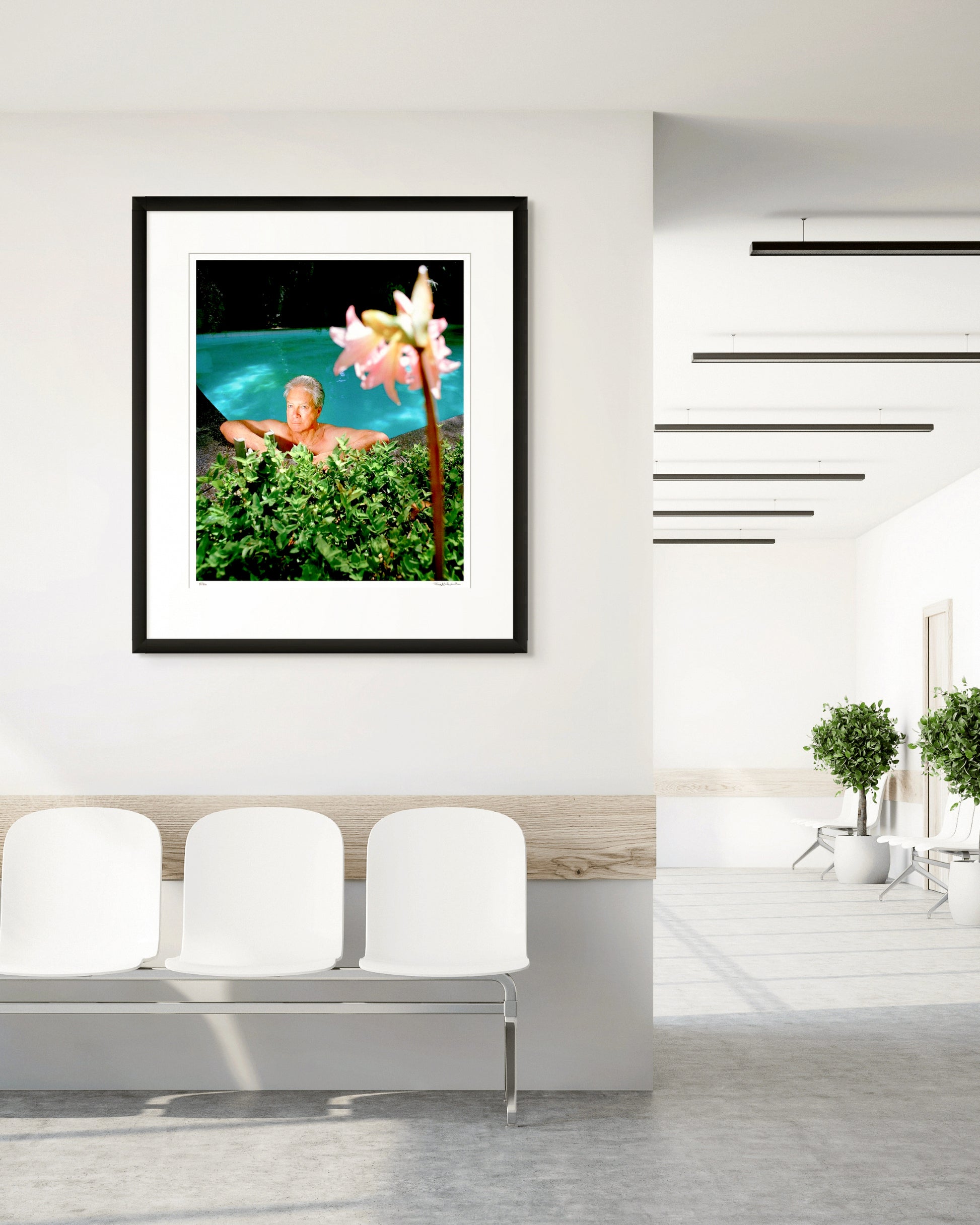 Framed Collector Edition photographic portrait of Don Dunstan by Robin Sellick, styled in a modern commercial interior with white walls and plants.