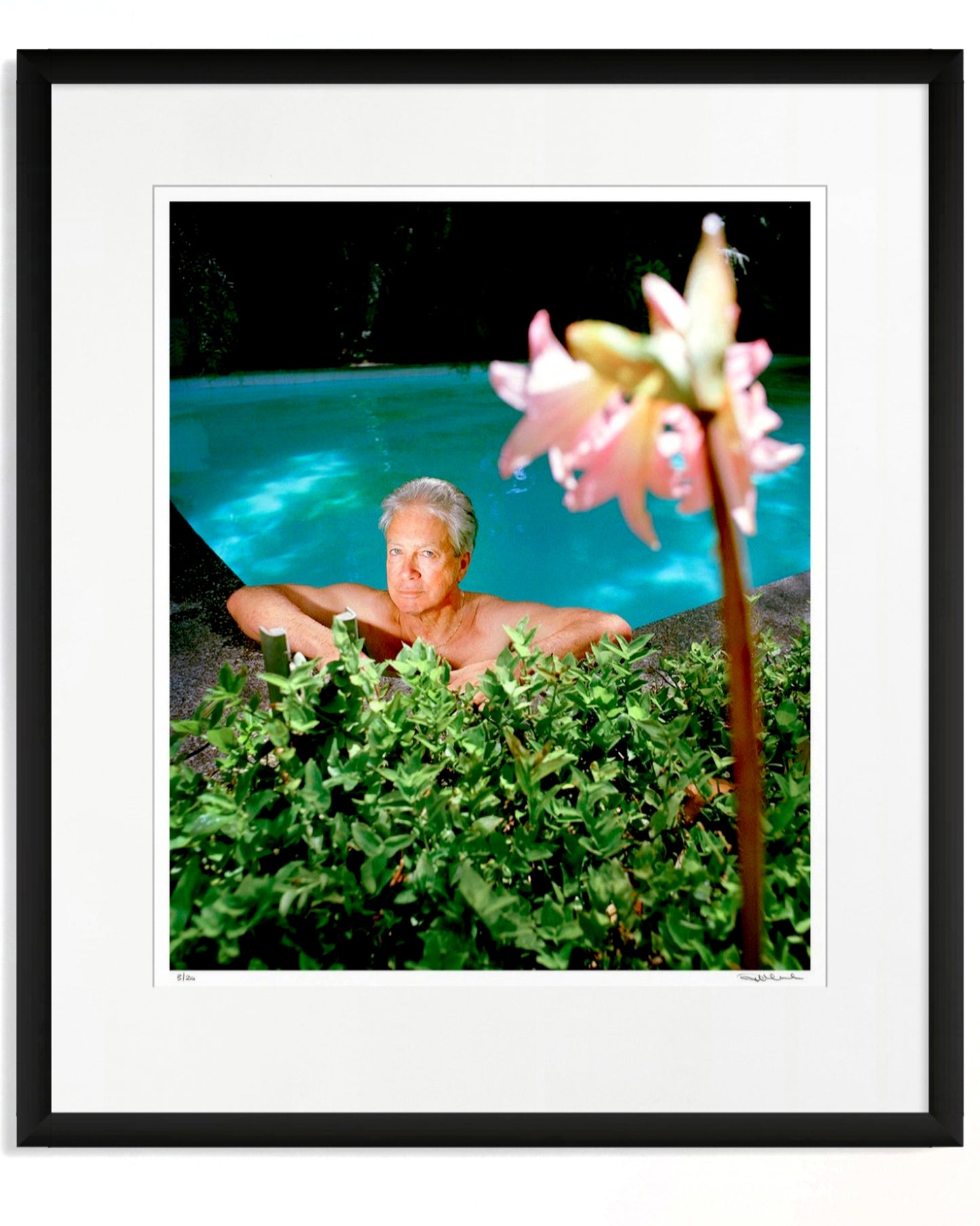 Framed colour photographic portrait of Don Dunstan by Robin Sellick, part of the Collector Edition series – a bold and witty Australian icon captured beside his pool.